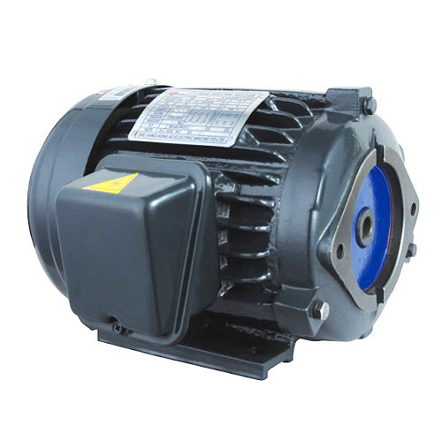 Standard horizontal motor