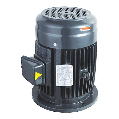 Vertical standard motor